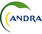 image-andrea